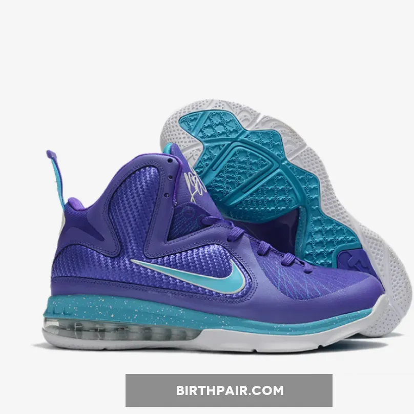 Lebron Hornets Shoes / Nike LeBron 9 Pure Purple/Turquioise-White