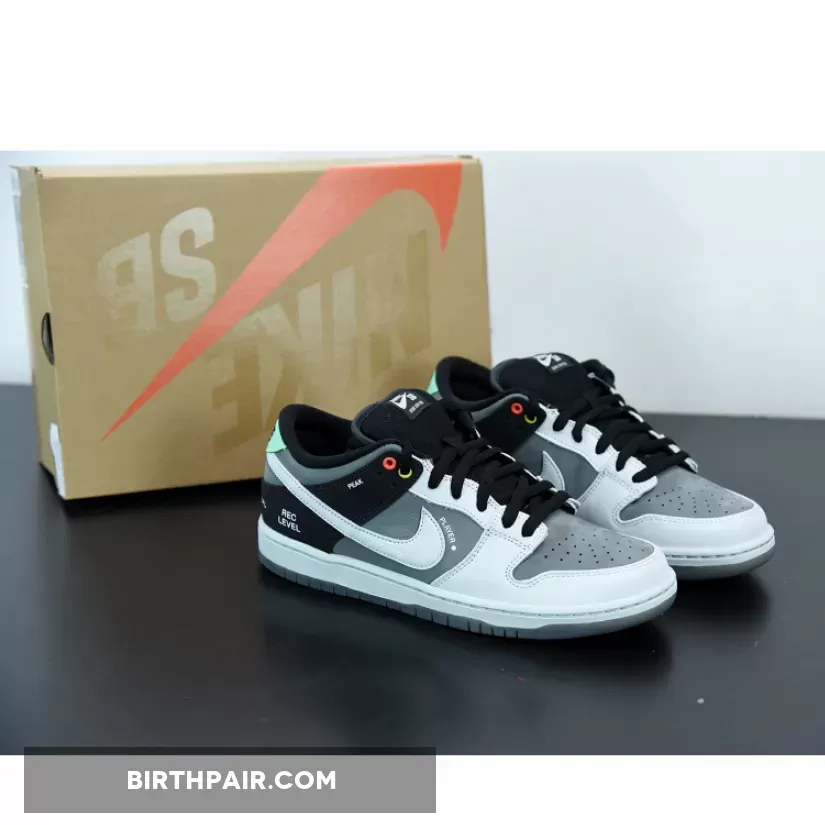 Nike Sb Camcorder Nike SB Dunk Low VX1000 Camcorder