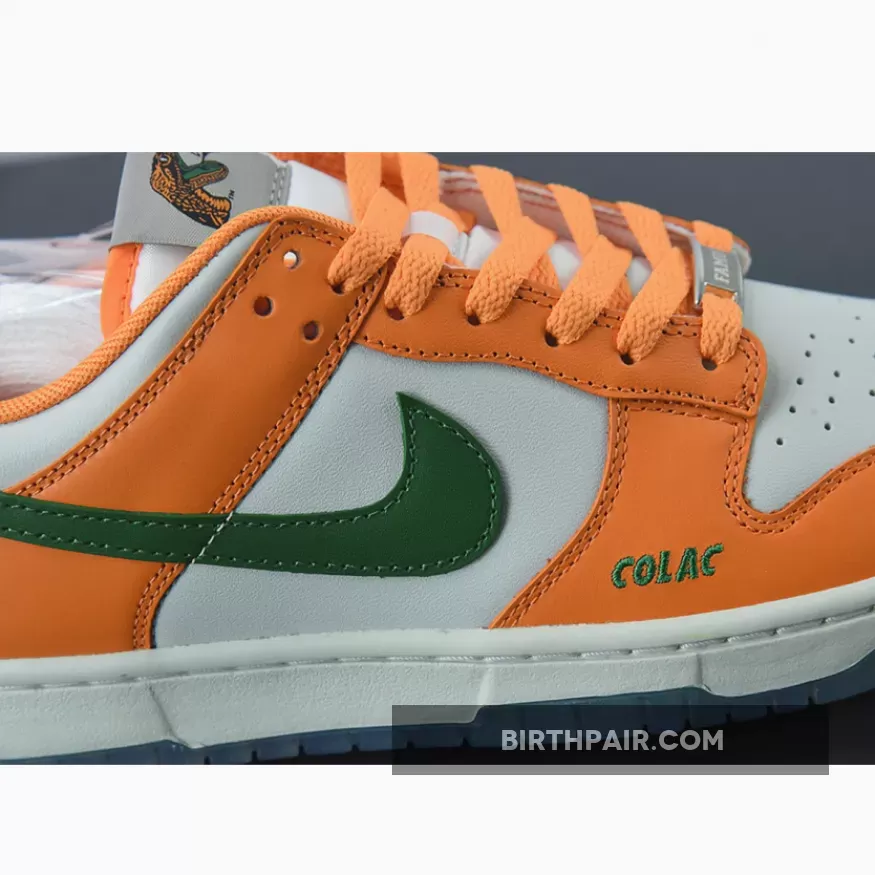 Florida A&M x Nike Dunk Low Family Florida A&m University X Dunk Low Rattlers