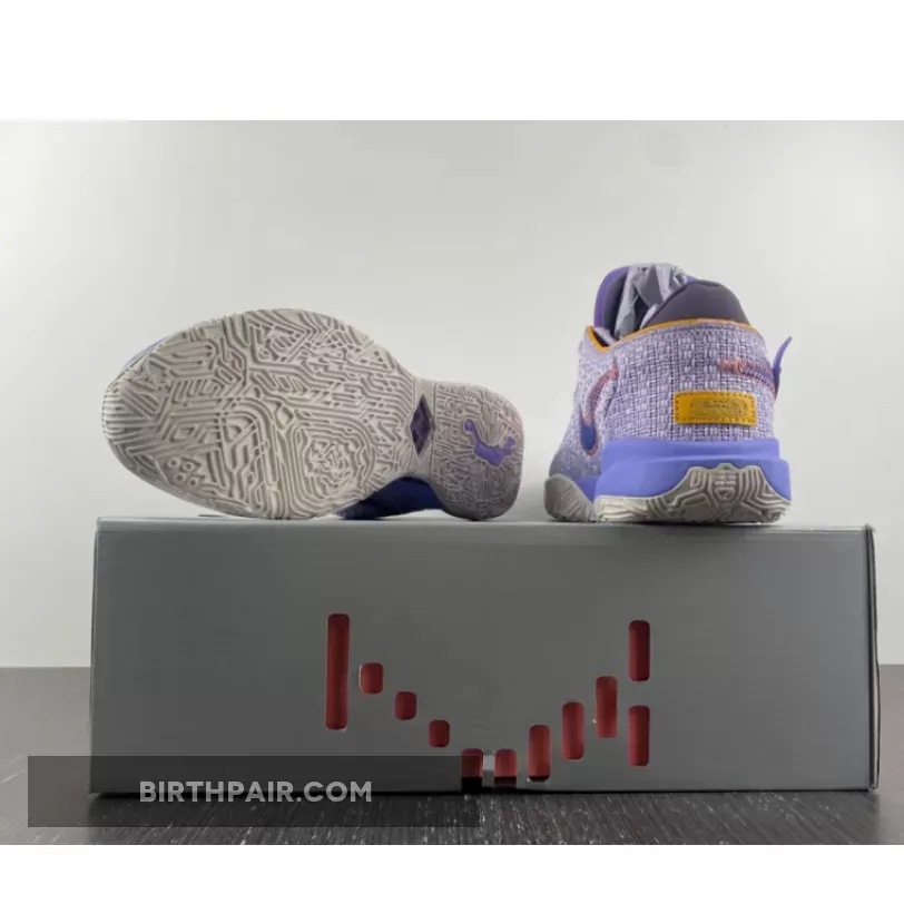 Lebron 20s Purple / LeBron 20 'Violet Frost' DJ5423-500