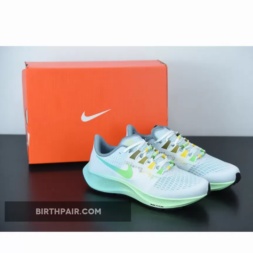 Nike Dunk Butterfly / Nike Air Zoom Pegasus 37 'Butterfly' White/Vapor Green