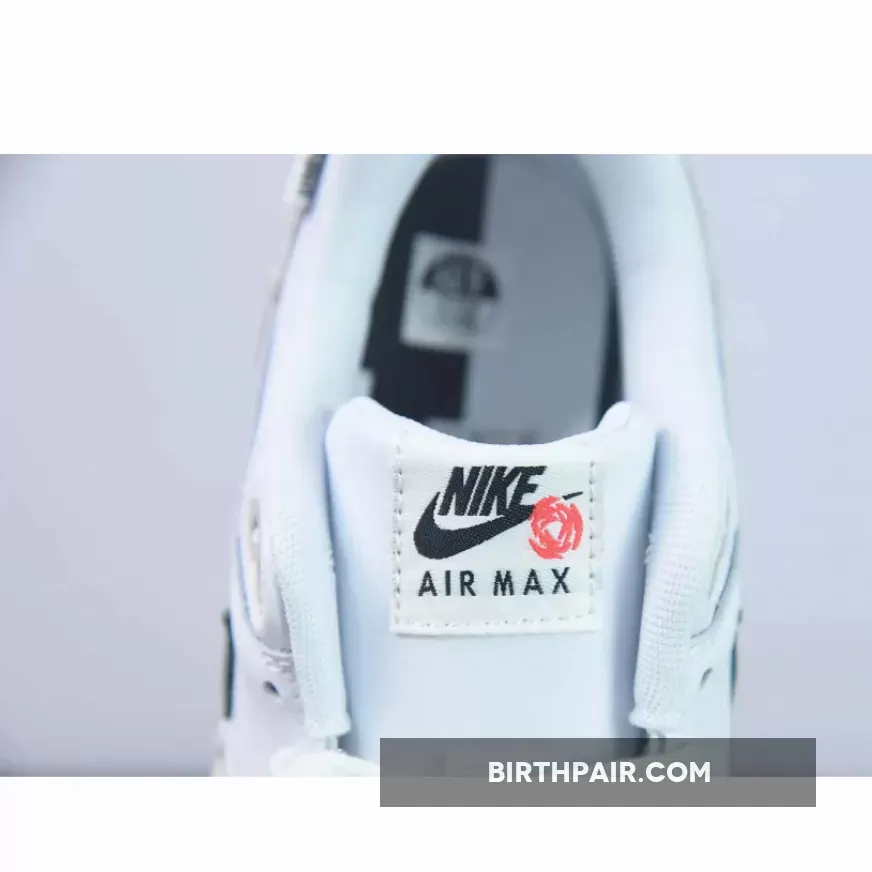 Jordan Pro Strong Midnight Navy / Nike Air Max 1 All Petals United