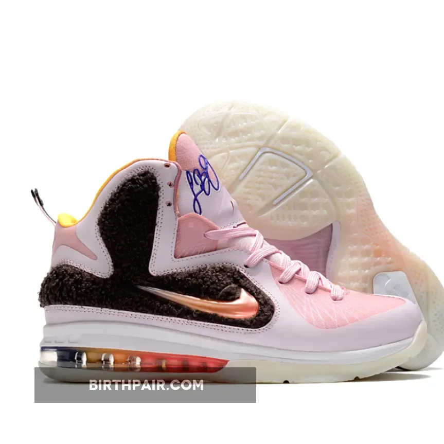 Nike LeBron 9 Regal Pink/Multi-Color-Velvet Brown / New Lebrons 2022 Pink