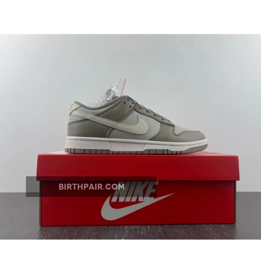 Moon Fossil Nike Dunks / Nike Dunk Low Grey Beige