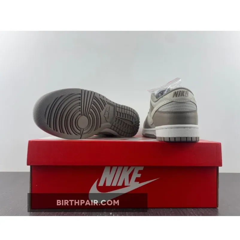 Moon Fossil Nike Dunks / Nike Dunk Low Grey Beige