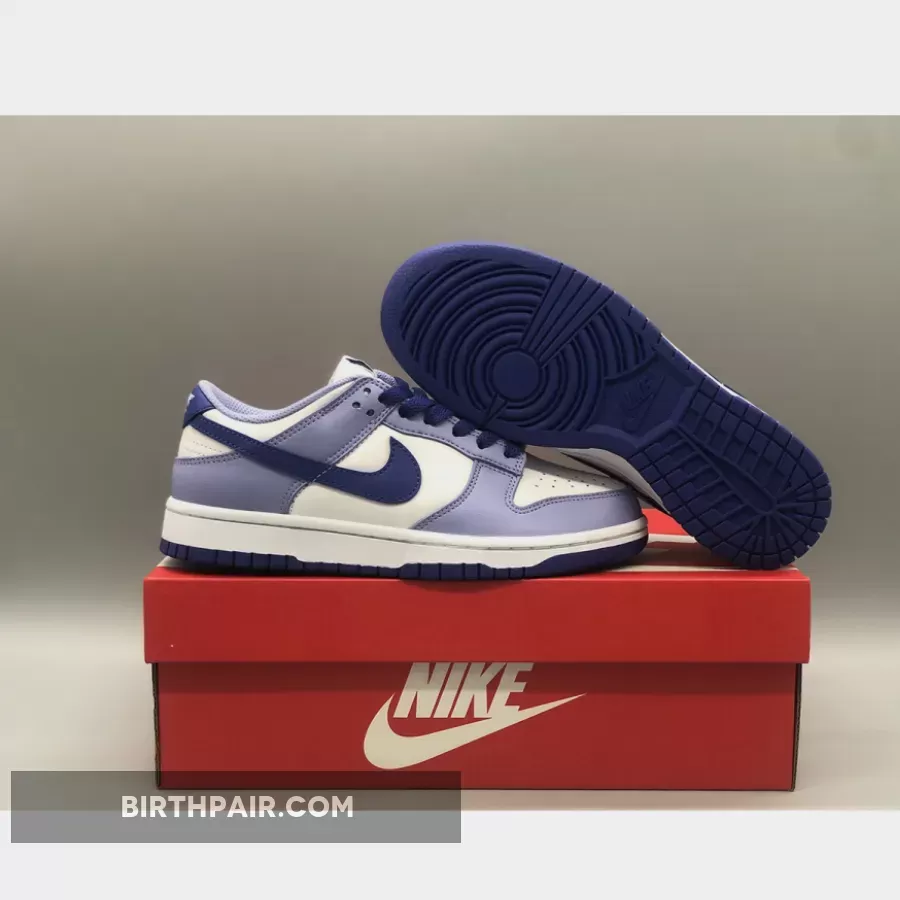Jordan 1 Low Blueberry Nike Dunk Low GS 'Blueberry' White/Light Thistle-Lapis